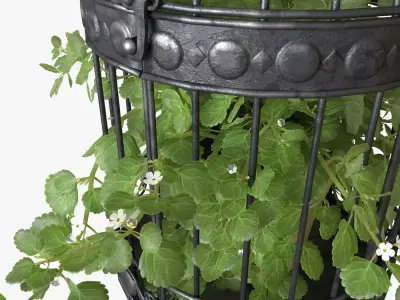 Ivy in a bird cage Free 3D model