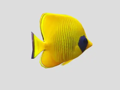 Bluecheek butterflyfish Realistic Animated Low-poly 3D model