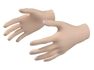 Female Hand Base Mesh 04 3D model
