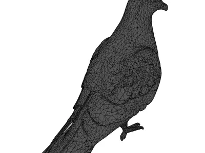 Realistic Pigeon 3D Model Low-poly 3D model