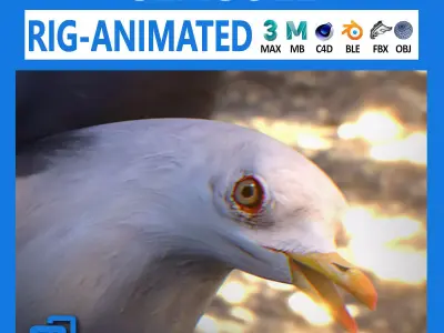 Animated Seagull Low-poly 3D model