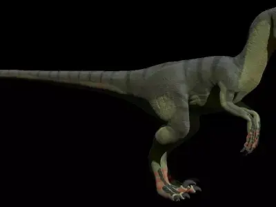 Rigged Deinonychus Low-poly 3D model