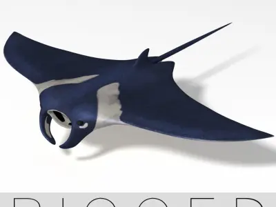 manta ray  rigged 3D model