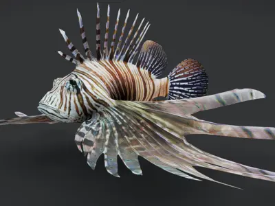Realistic Lionfish Animated 3D model