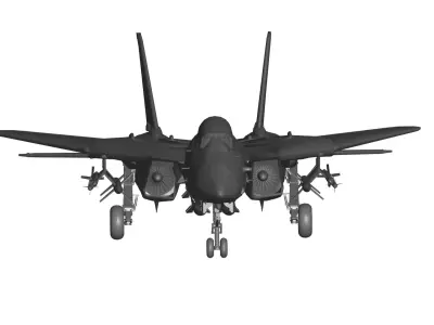 Grumman F-14 Tomcat 3D model