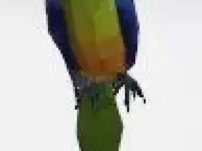 Macaw - low poly Low-poly 3D model