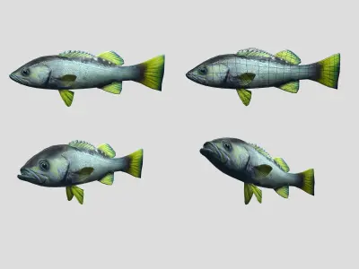 Fish Collection Animated - Game Ready Pack 5 Low-poly 3D model