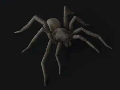 Wolf Spider Low-poly 3D model