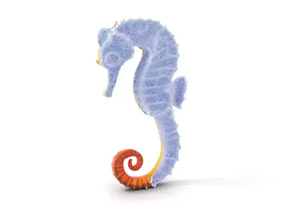 Vibrant Seahorse model pack Low-poly 3D model