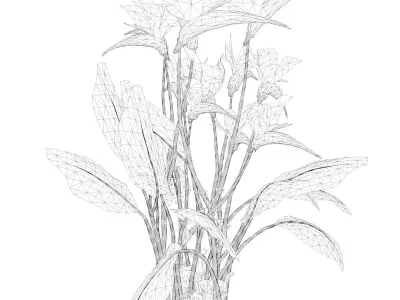 Bird of Paradise Flower - 02 - 3D model