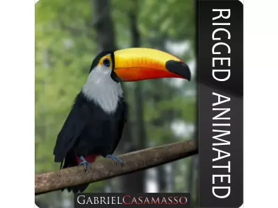 Ramphastos toco 3D model