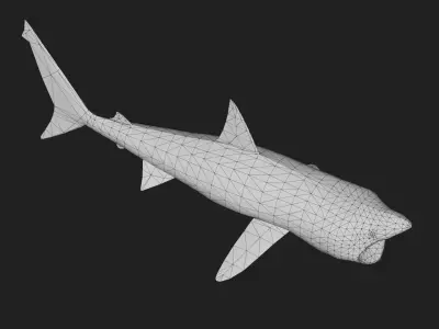 Shark Low-poly 3D model