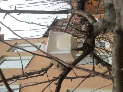 Bara Birdhouse Free 3D print model