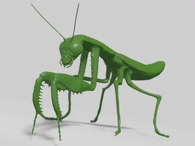 Mantis praying 3D model