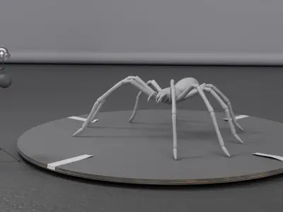 VFX Spider 3D Model 3D model
