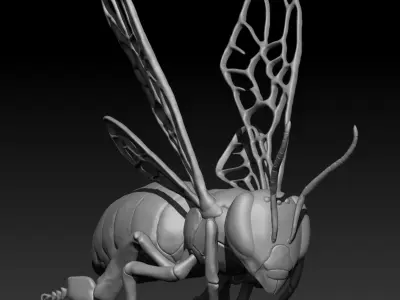 Honey bee in flight Free 3D model