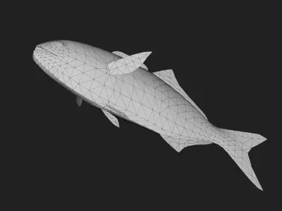 Bluefish Low-poly 3D model