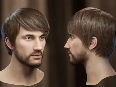 10 Hair Card Hairstyles 3D model