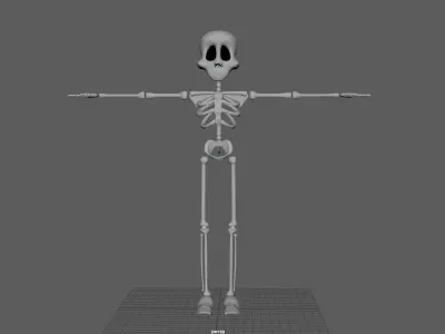 Skeleton 3D model
