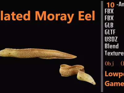 Ocellated Moray Eel Low-poly 3D model