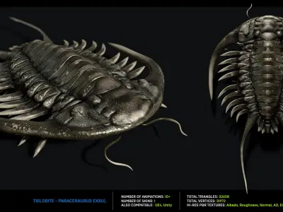 Trilobite 03 - PARACERAURUS EXSUL Low-poly 3D model