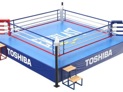Detailed Boxing Ring 02 3D model