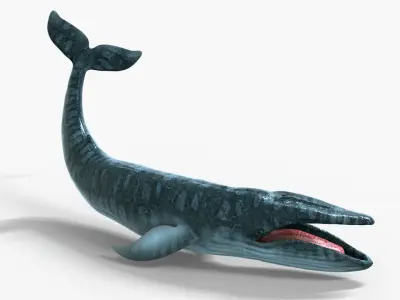 Realistic Blue Whale 3D Model Rigged 3D model