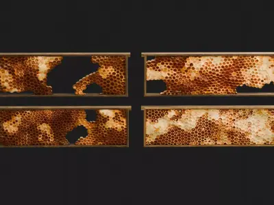 Honeycomb Frames 3D model