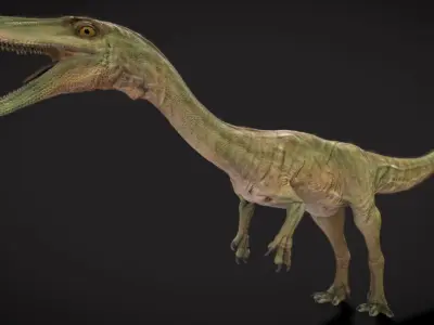 Coelophysis Low-poly 3D model