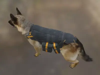 Dog   jerman seaford  3D model