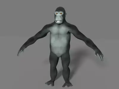gorilla Low-poly 3D model