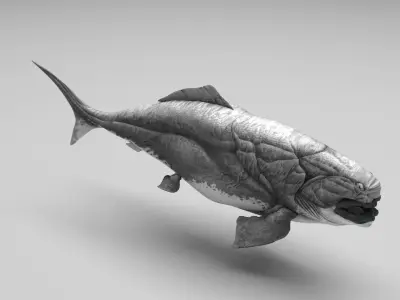 Dunkleosteus 3D model