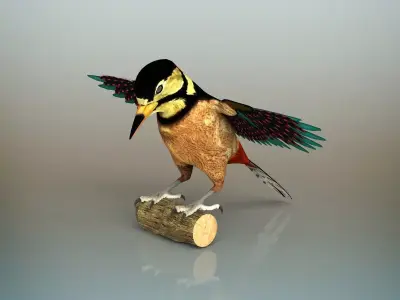 Woodpecker Bird 3D model