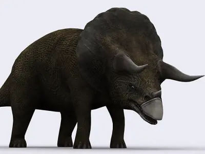 3DRT - Dinosaurs - Triceratops Low-poly 3D model