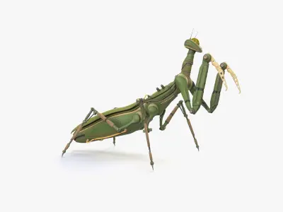 Robot Mantis 3D model