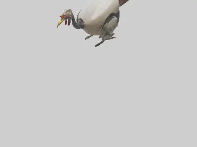 Robot version of a turkey model 3D model