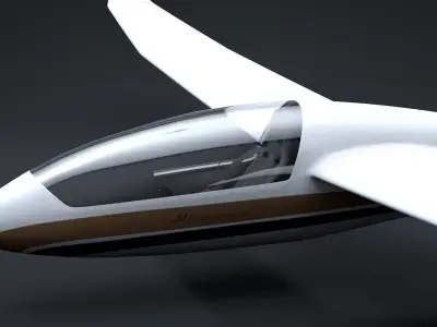 Discus Sailplane 3D model