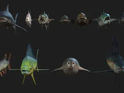 Rigged Low Poly Underwater Fish Collection 3D Models Low-poly 3D model