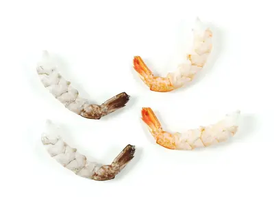 polypasta - shrimp 01 - peeled 3D model