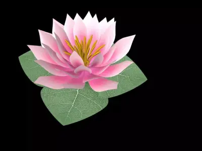 Water Lily Low-poly 3D model