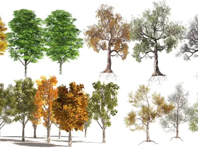 Private Round Pergolas in a forest  with Trees collection Low-poly 3D model