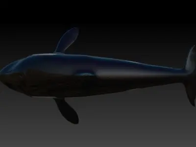 Rigged Orca Low-poly 3D model