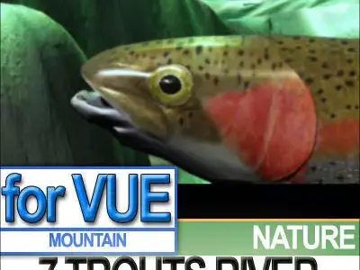 7 Rainbow Trout Realistic River Scene 3D model