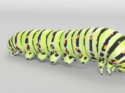 Animated Caterpillar 3D model