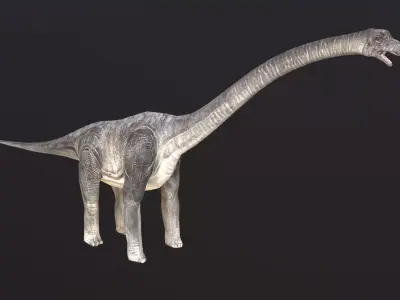 Brachiosaurus dinosaur Low-poly 3D model