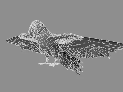 Gold Macaw 3D model