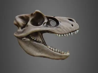 T-rex skull 3D model
