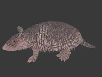 Pampatherium armadillo Low-poly 3D model