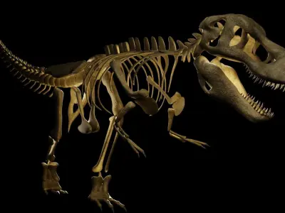 T-REX SKELETON Low-poly 3D model