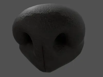 Dog Nose  Low-poly 3D model